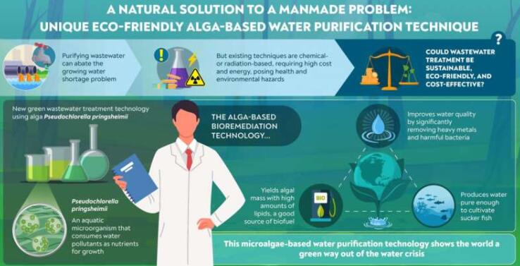一种新的生态友好和可持续的藻类方法来对抗水污染