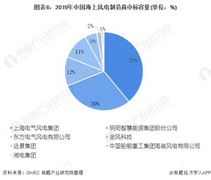 图表6：2019年中国海上风电制造商中标容量(单位：%)